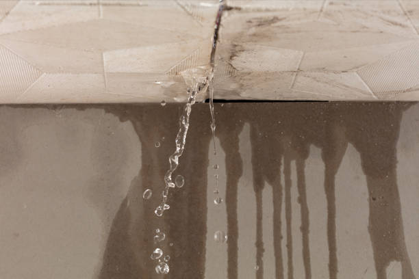 Professional Water Damage Repair technician working in Weimar, TX